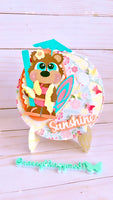 Beach Ball Mini Album