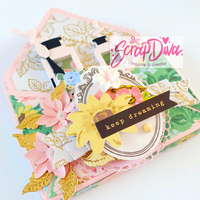 Swap Bag Envelope