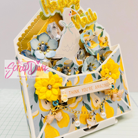 Swap Bag Envelope