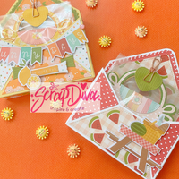 Swap Bag Envelope