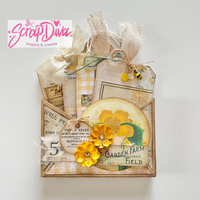 Swap Bag Envelope