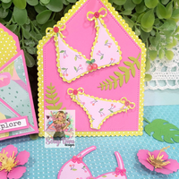 Swap Bag Envelope