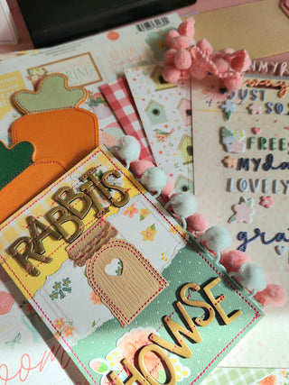 Carrot Mini Album