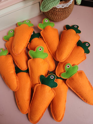 Carrot Mini Album