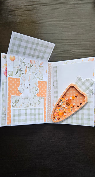 Carrot Mini Album