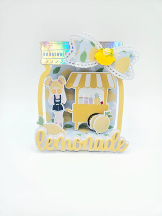 Mason Jar Shadow Box
