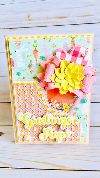 Carrot Mini Album