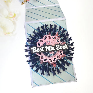 SBW Gift Box