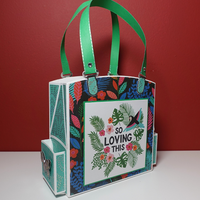 3D Bow Gift Bag