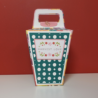 Take Out Dinner Box