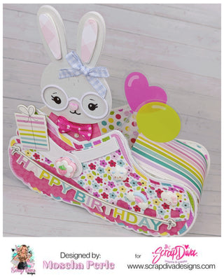 Croc Shoe Mini Album