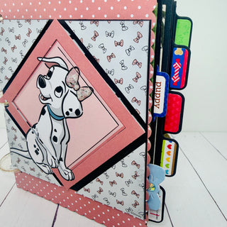 File Folder Set