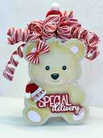 Baby Bear Mini Album