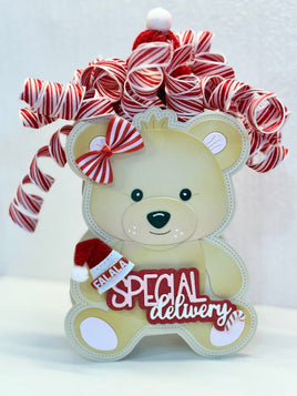 Baby Bear Mini Album