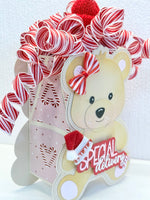 Baby Bear Mini Album