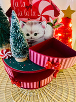 Carousel Box W/ Drawers