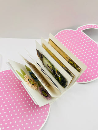 Party Box / Mini Album