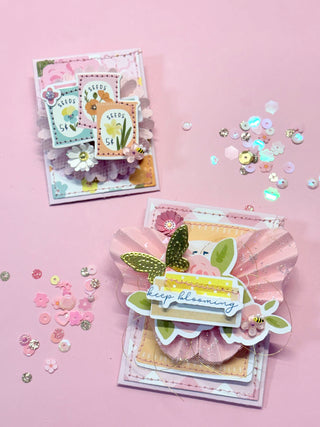 Seed Bag Envelope Set