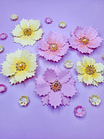 Fringed Flower #2