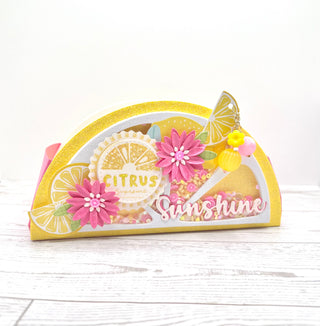 Lemon Slice Mini Album