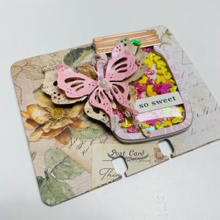 Shabby Chic Butterly Duo