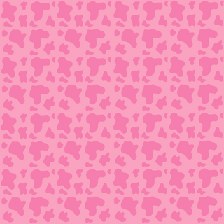 Cowgirl Dreams Cow Print Acetate Sheet