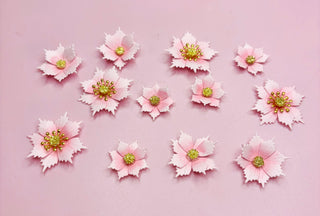 Winter Flower Set