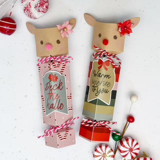 Reindeer Treat Box