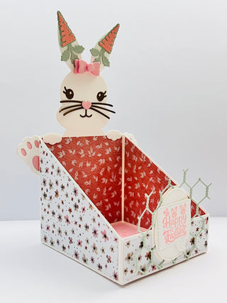 3D Easter Display Box