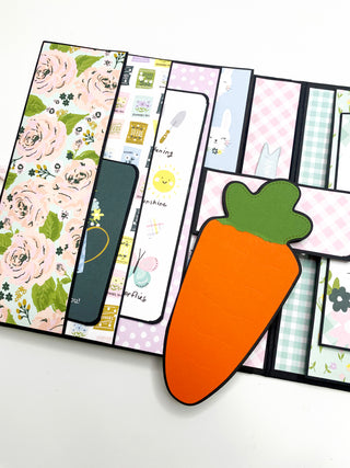 Carrot Mini Album