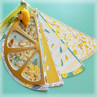 Lemon Slice Mini Album