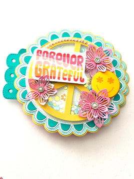 Peace Sign Mini Album