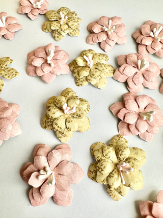 Desert Rose Flower Set