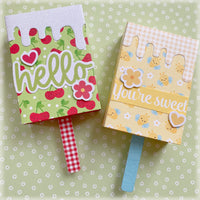 Popsicle Gift Box