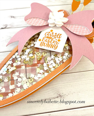 Carrot Mini Album