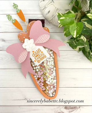 Carrot Mini Album