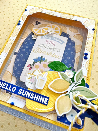A2 Shadow Box