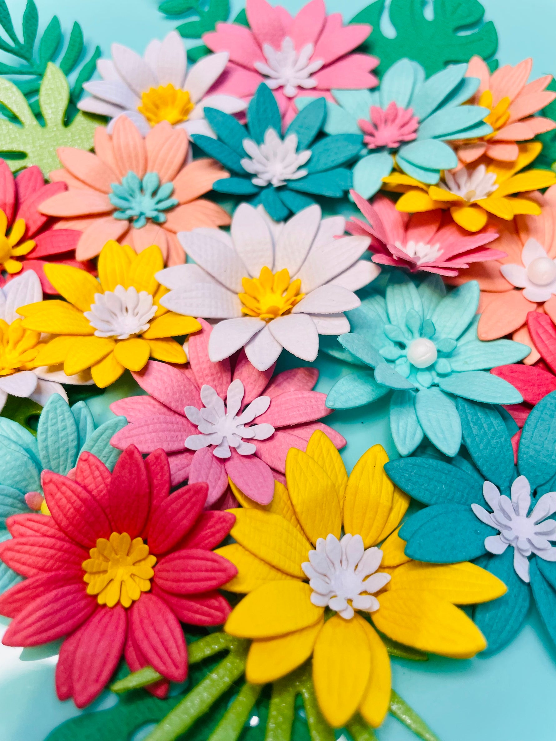 Scrap Diva Designs | Scrap Diva Designs
