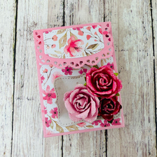 Seed Bag Envelope Set