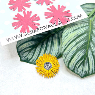 Spring Flower