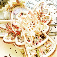 Angel Mini Album