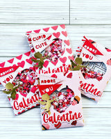 Valentine's Pennants