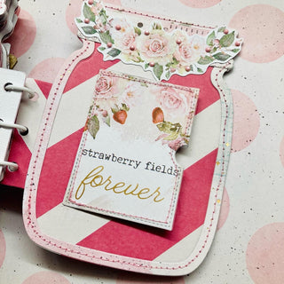 Mason Jar Mini Album