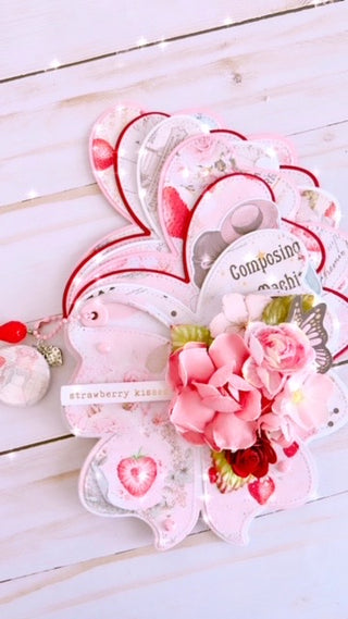Big Bow Mini Album