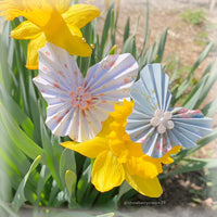 Butterfly Rosette